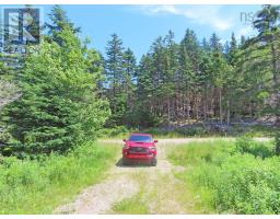 20 Acres Upper Grand Mira Road, Upper Grand Mira, NS B1K1M1 Photo 9
