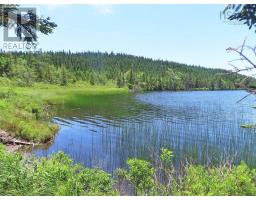 Lot 3 Upper Grand Mira Road, Upper Grand Mira, NS B1K1M1 Photo 31