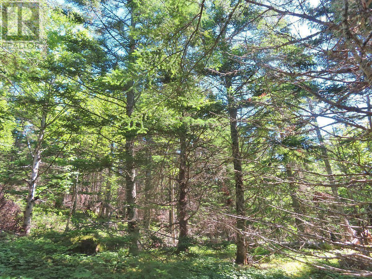 Property 17 of 44 of Lot 3 Upper Grand Mira Road