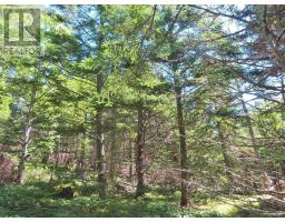Lot 3 Upper Grand Mira Road, Upper Grand Mira, NS B1K1M1 Photo 45