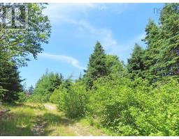 20 Acres Upper Grand Mira Road, Upper Grand Mira, NS B1K1M1 Photo 6