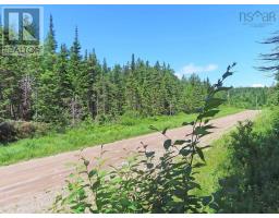 20 Acres Upper Grand Mira Road, Upper Grand Mira, NS B1K1M1 Photo 8