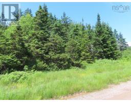 20 Acres Upper Grand Mira Road, Upper Grand Mira, NS B1K1M1 Photo 29