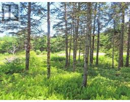 20 Acres Upper Grand Mira Road, Upper Grand Mira, NS B1K1M1 Photo 12