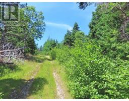 20 Acres Upper Grand Mira Road, Upper Grand Mira, NS B1K1M1 Photo 33