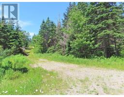 20 Acres Upper Grand Mira Road, Upper Grand Mira, NS B1K1M1 Photo 7