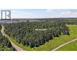 20 Acres Upper Grand Mira Road, Upper Grand Mira, NS B1K1M1 Photo 16
