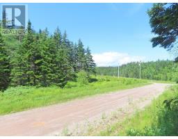 20 Acres Upper Grand Mira Road, Upper Grand Mira, NS B1K1M1 Photo 23