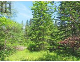 20 Acres Upper Grand Mira Road, Upper Grand Mira, NS B1K1M1 Photo 17