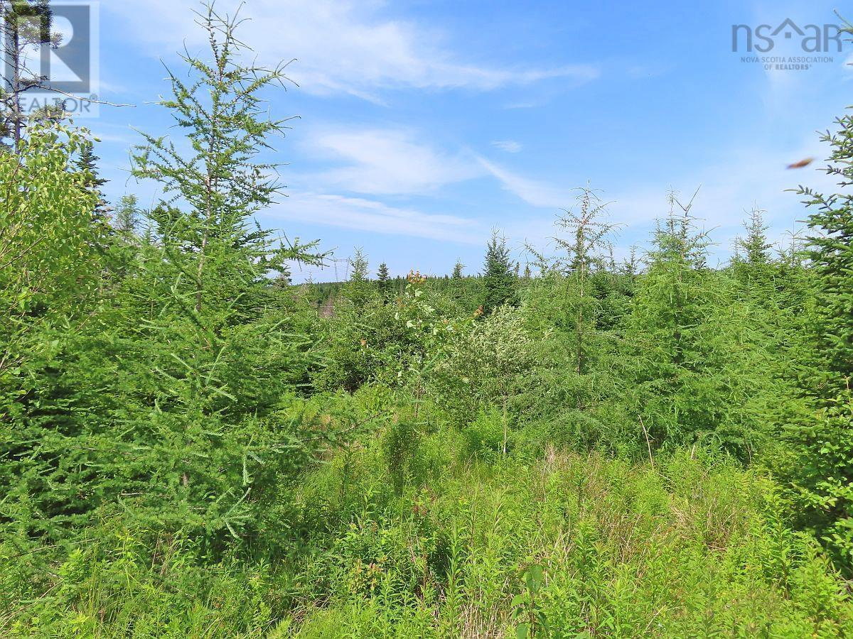 Lot 3 Rear Big Cove Road — photo 34