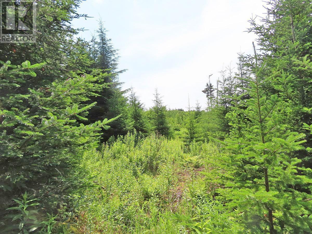 Lot 3 Rear Big Cove Road — photo 35