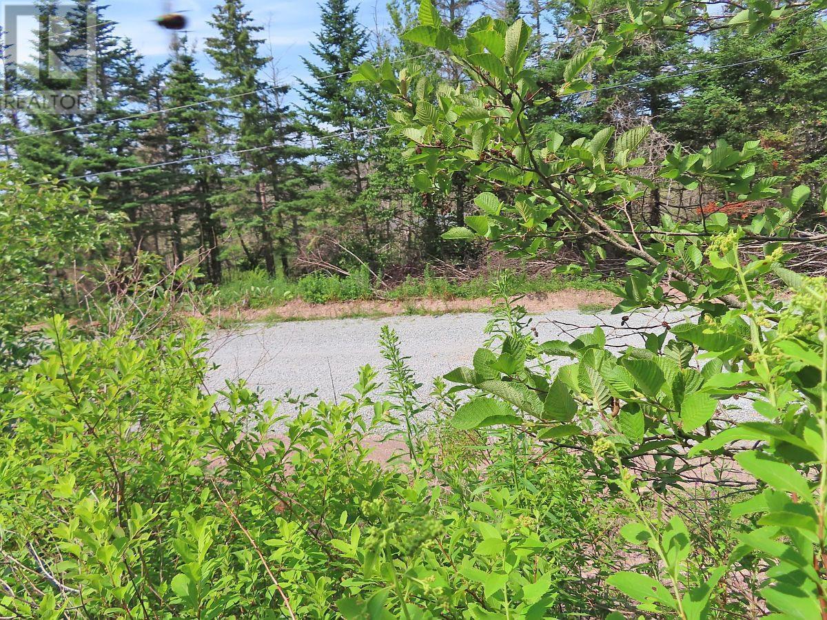 Lot 3 Rear Big Cove Road — photo 39