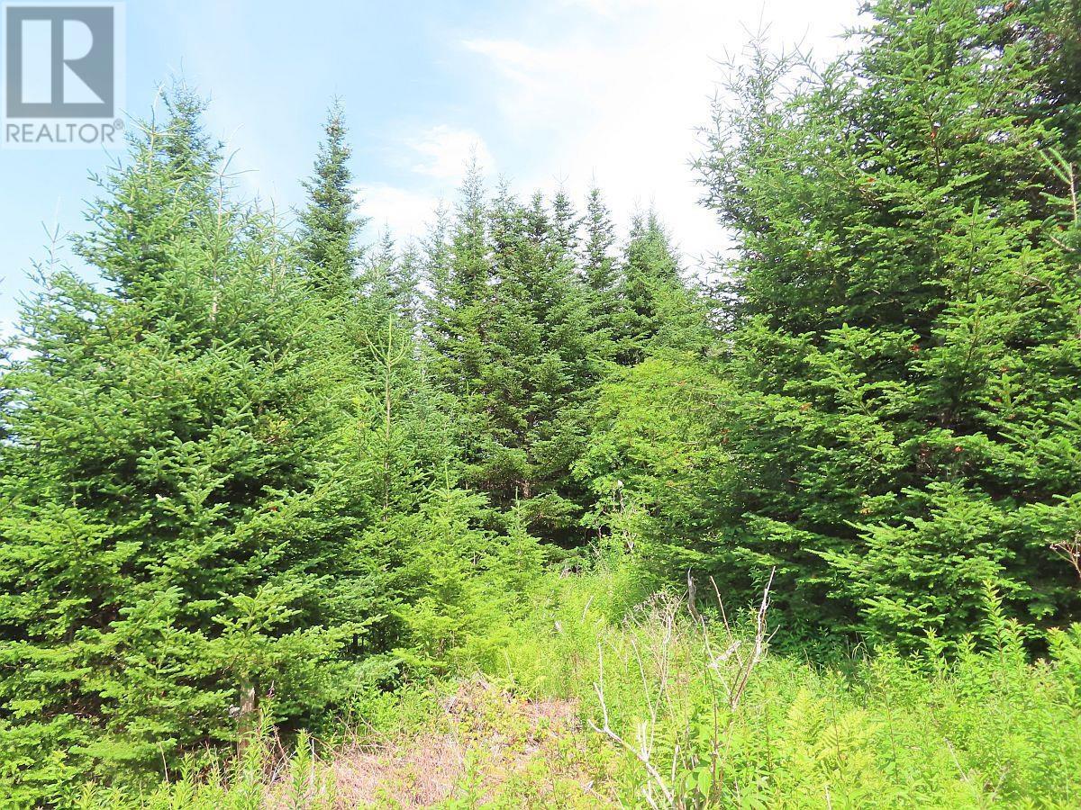 Lot 3 Rear Big Cove Road — photo 36
