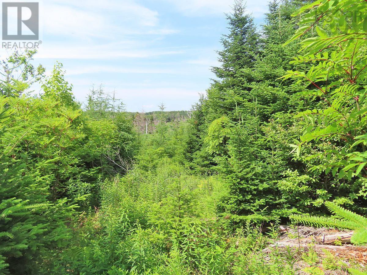 Lot 3 Rear Big Cove Road — photo 37
