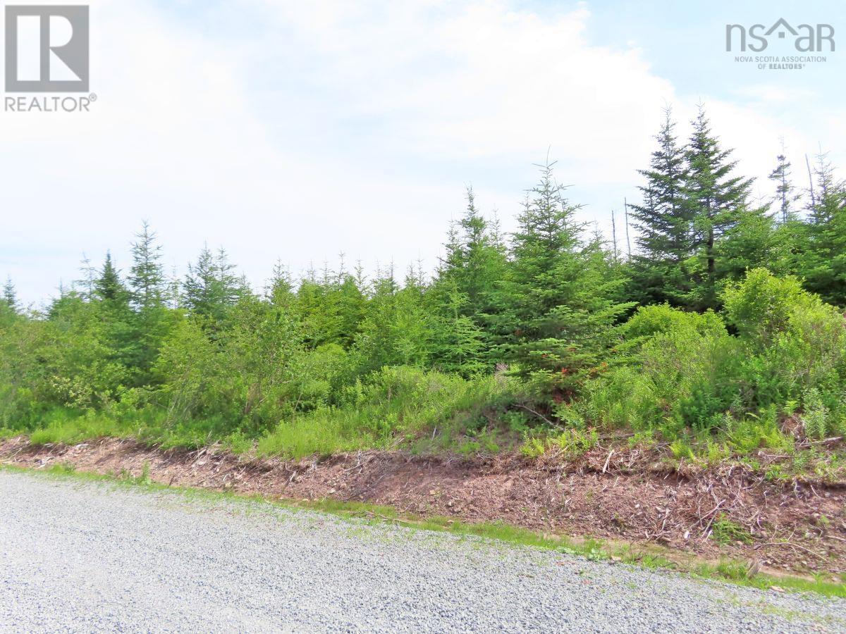 Lot 3 Rear Big Cove Road — photo 43