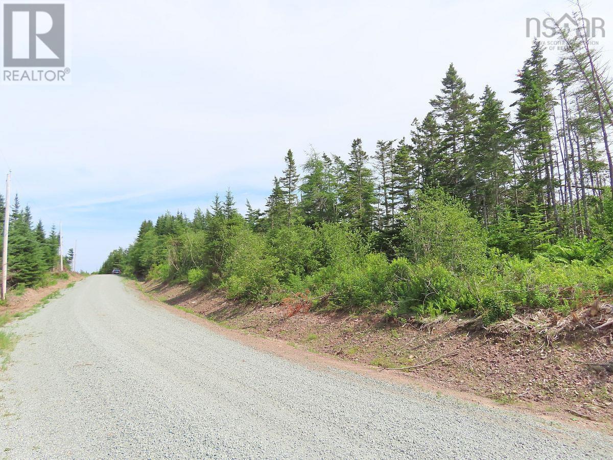 Lot 3 Rear Big Cove Road — photo 44