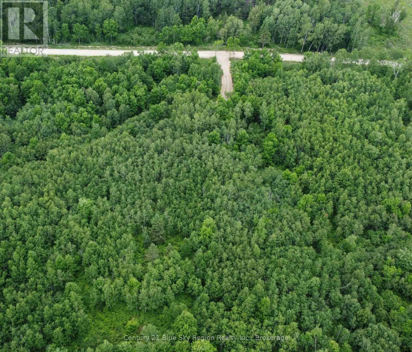 249 HILLS SIDING ROAD — photo 7