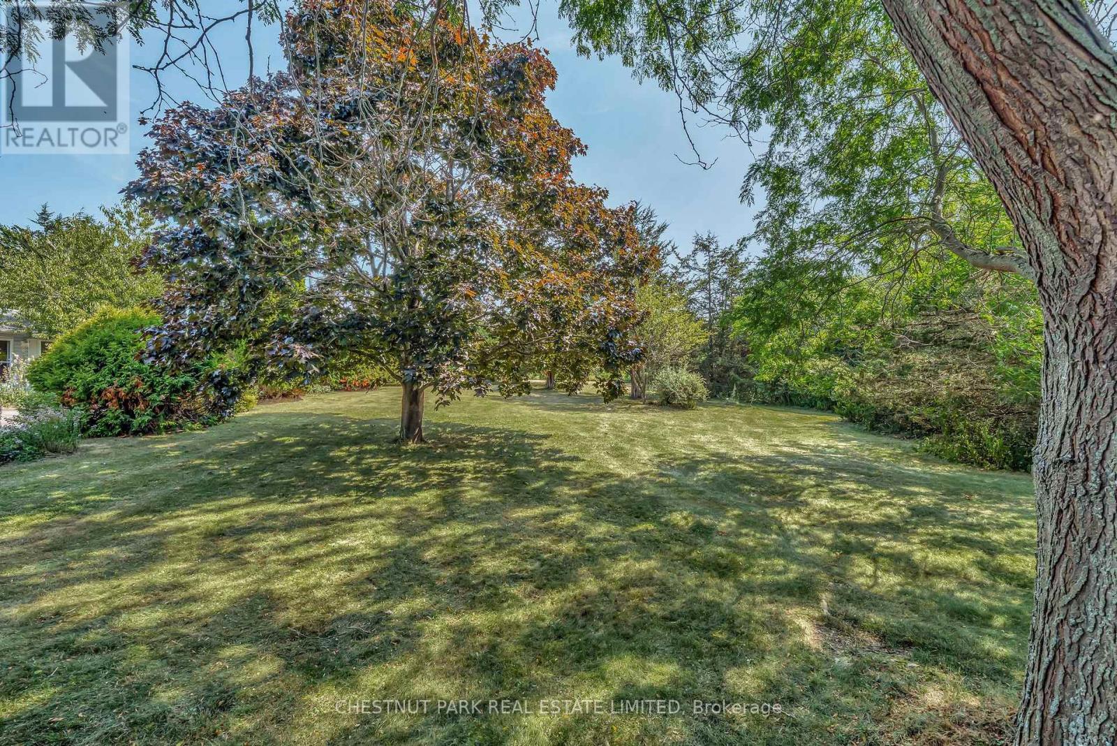207 CARNRIKE ROAD - 32