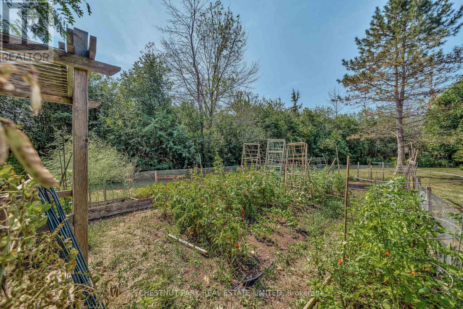 207 CARNRIKE ROAD - 33