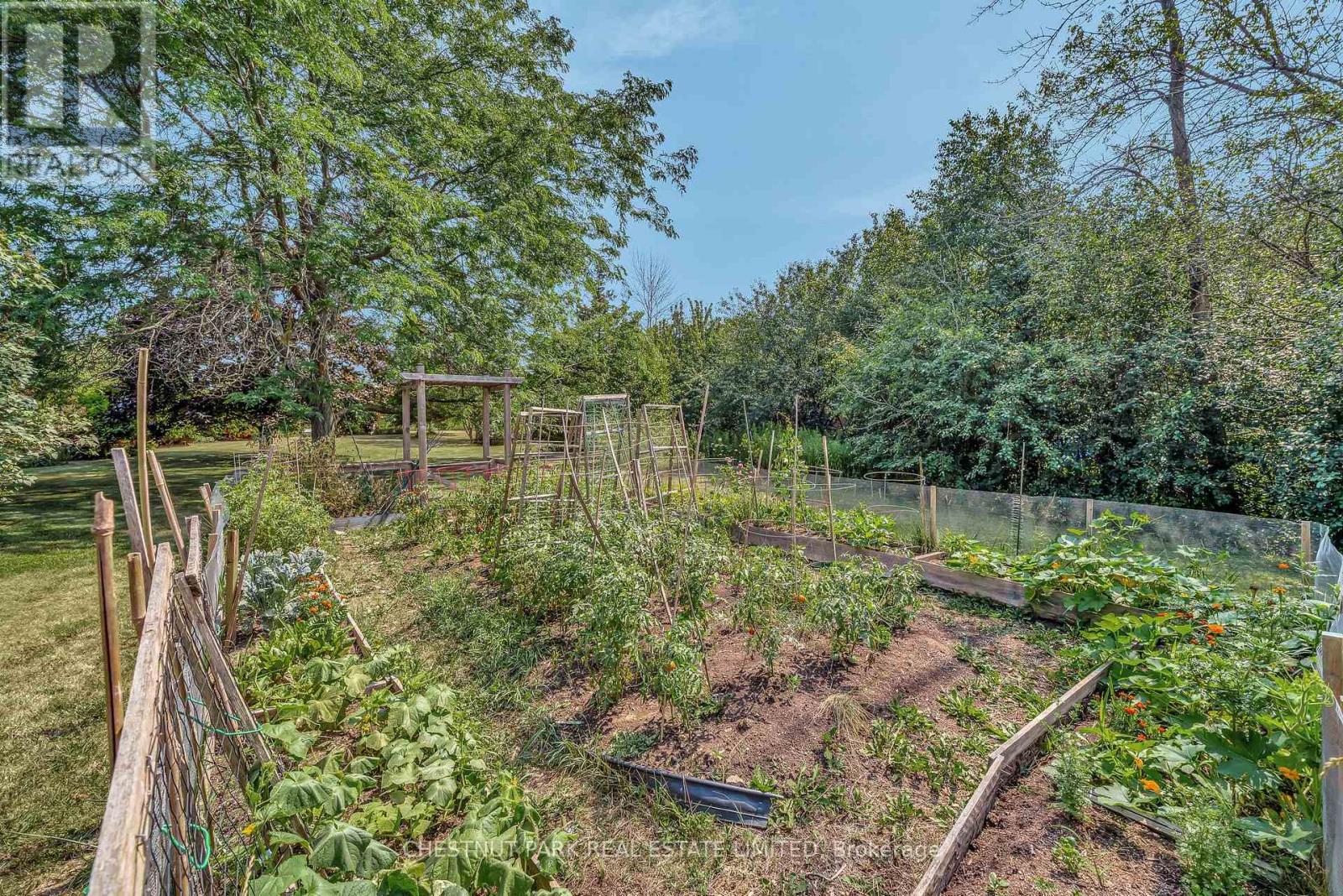 207 CARNRIKE ROAD - 34