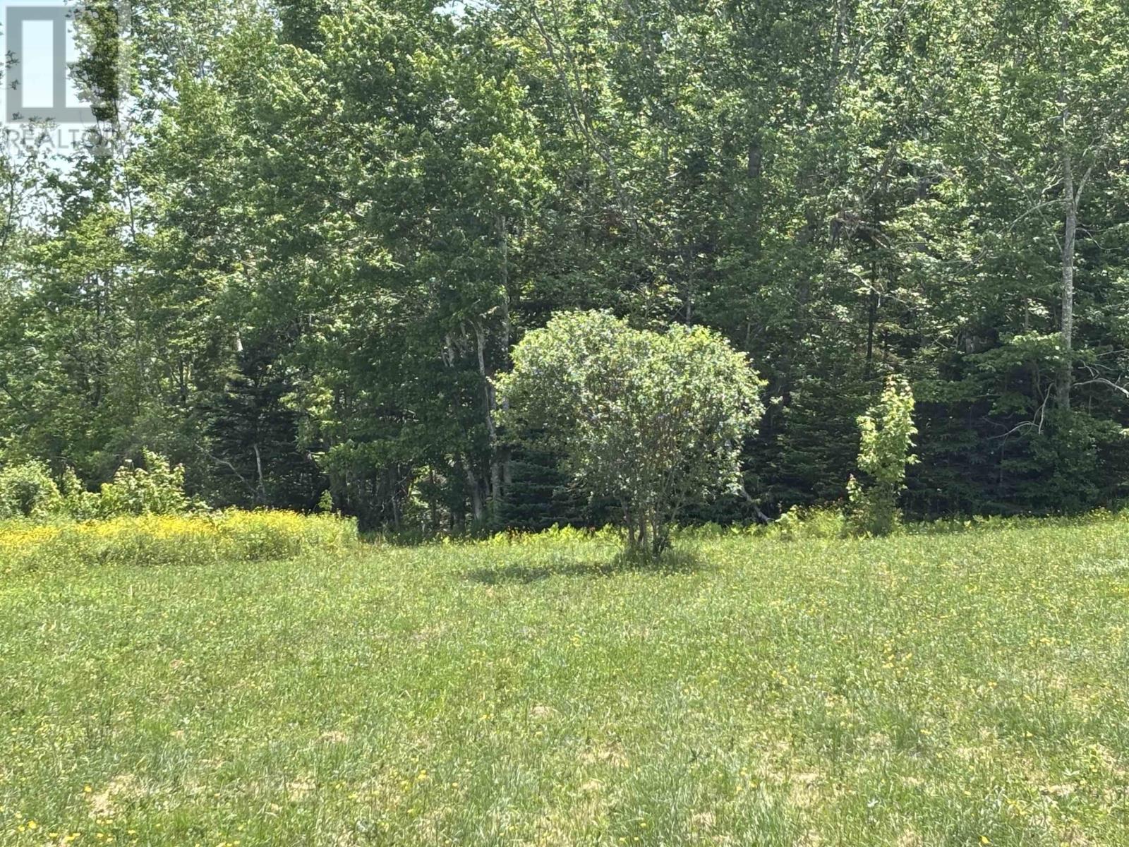 Lot 20-2B Highway 376 — photo 6