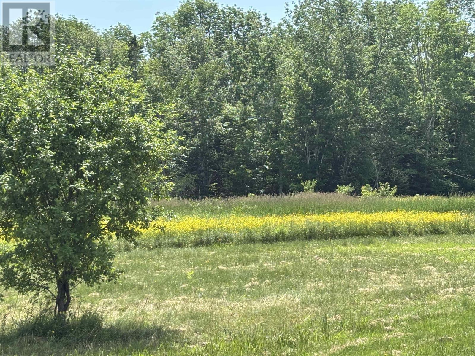 Lot 20-2B Highway 376 — photo 3