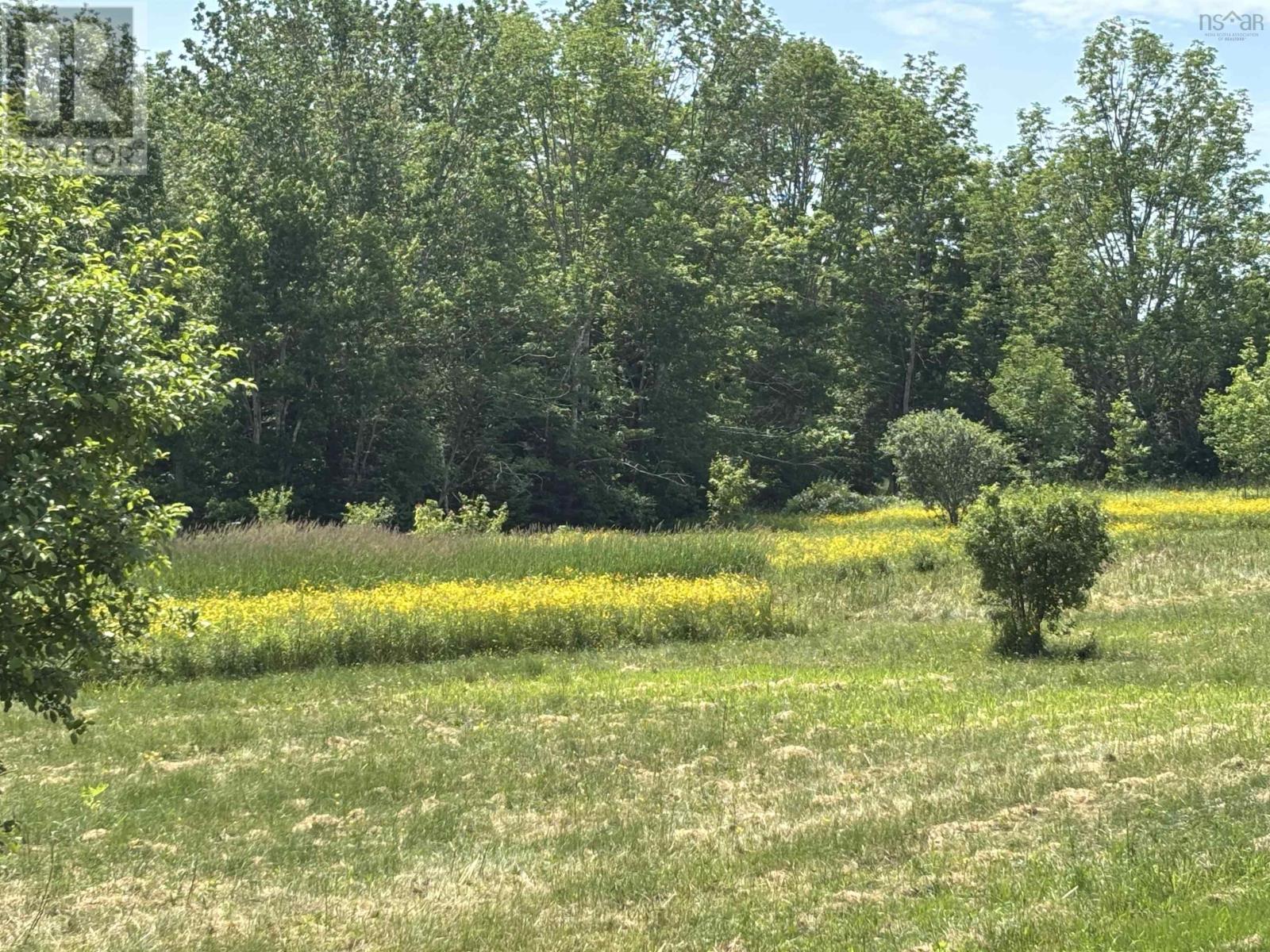 Lot 20-2B Highway 376 — photo 4