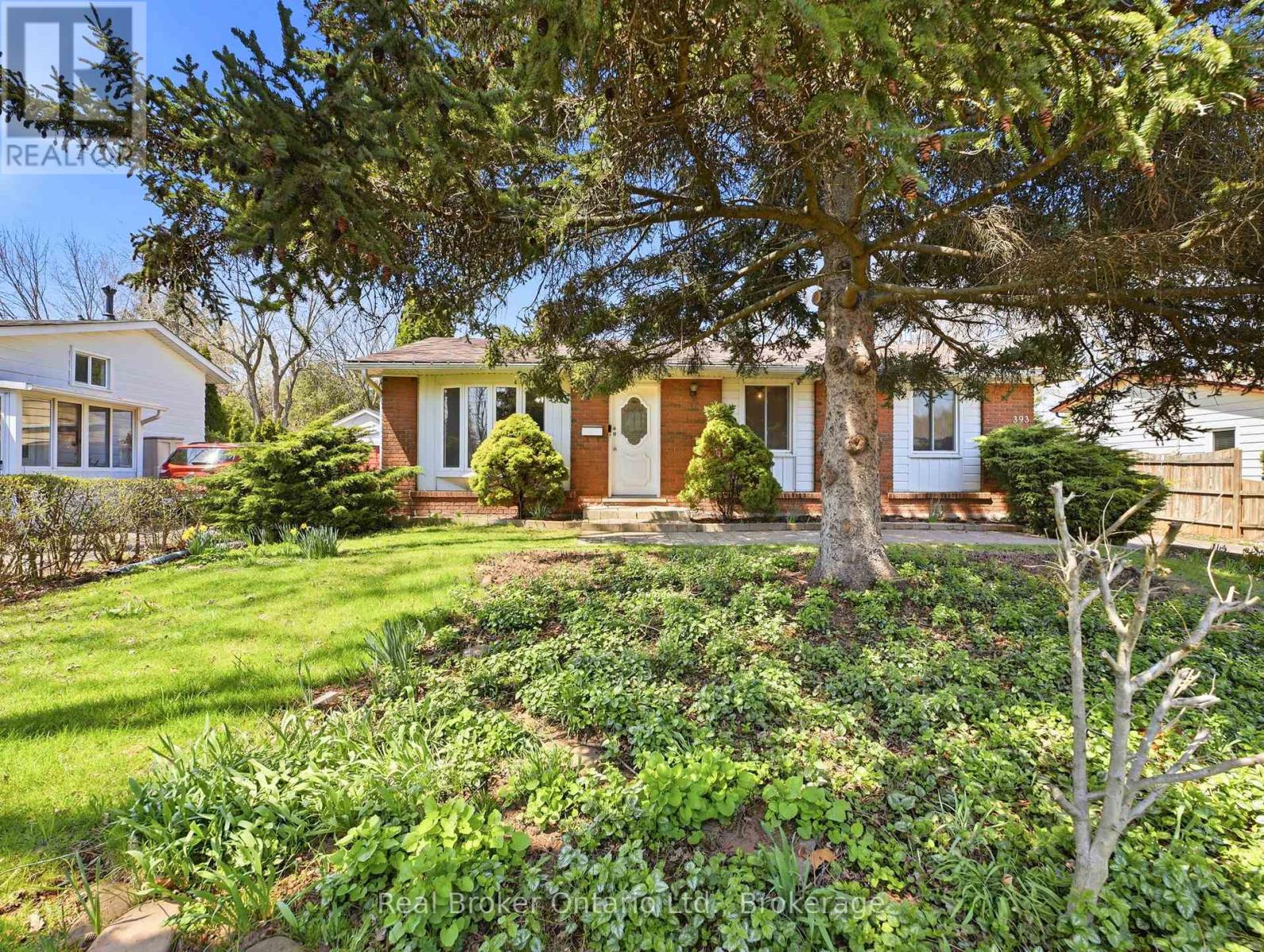 393 ENFIELD ROAD — photo 4