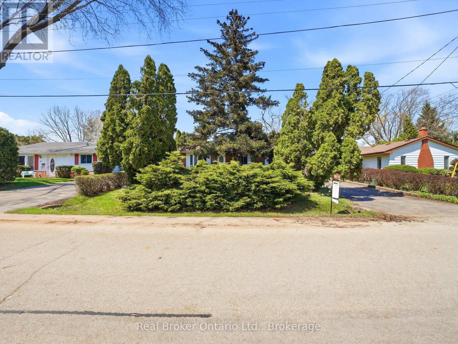 393 ENFIELD ROAD — photo 5
