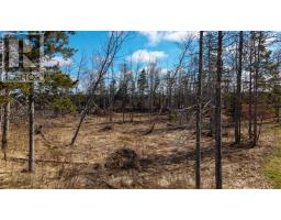 Lot Cape Breton Road, Dromore, PE C0A1T0 Photo 8