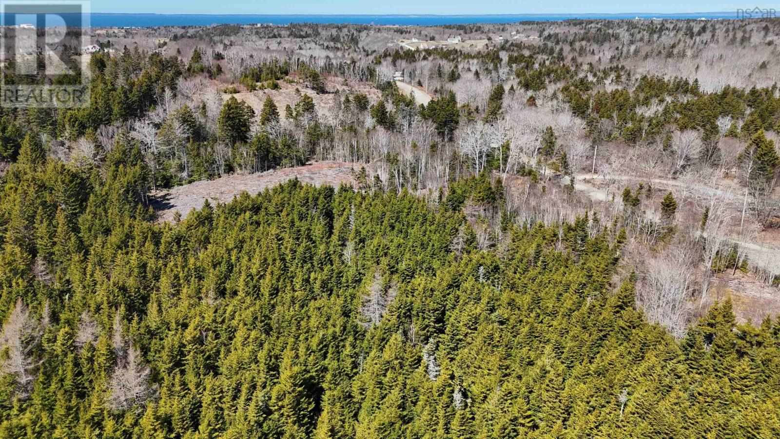 Property 4 of 7 of Lot 2 Marc Comeau Road