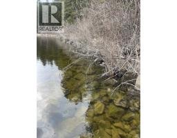 Blk B Canim-hendrix Lake Road, Canim Lake, BC V0K1J0 Photo 6