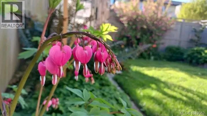 #19 1741 McKenzie Ave - 31