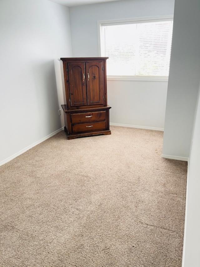 45470 SPRUCE DRIVE, Sardis West Vedder — photo 14