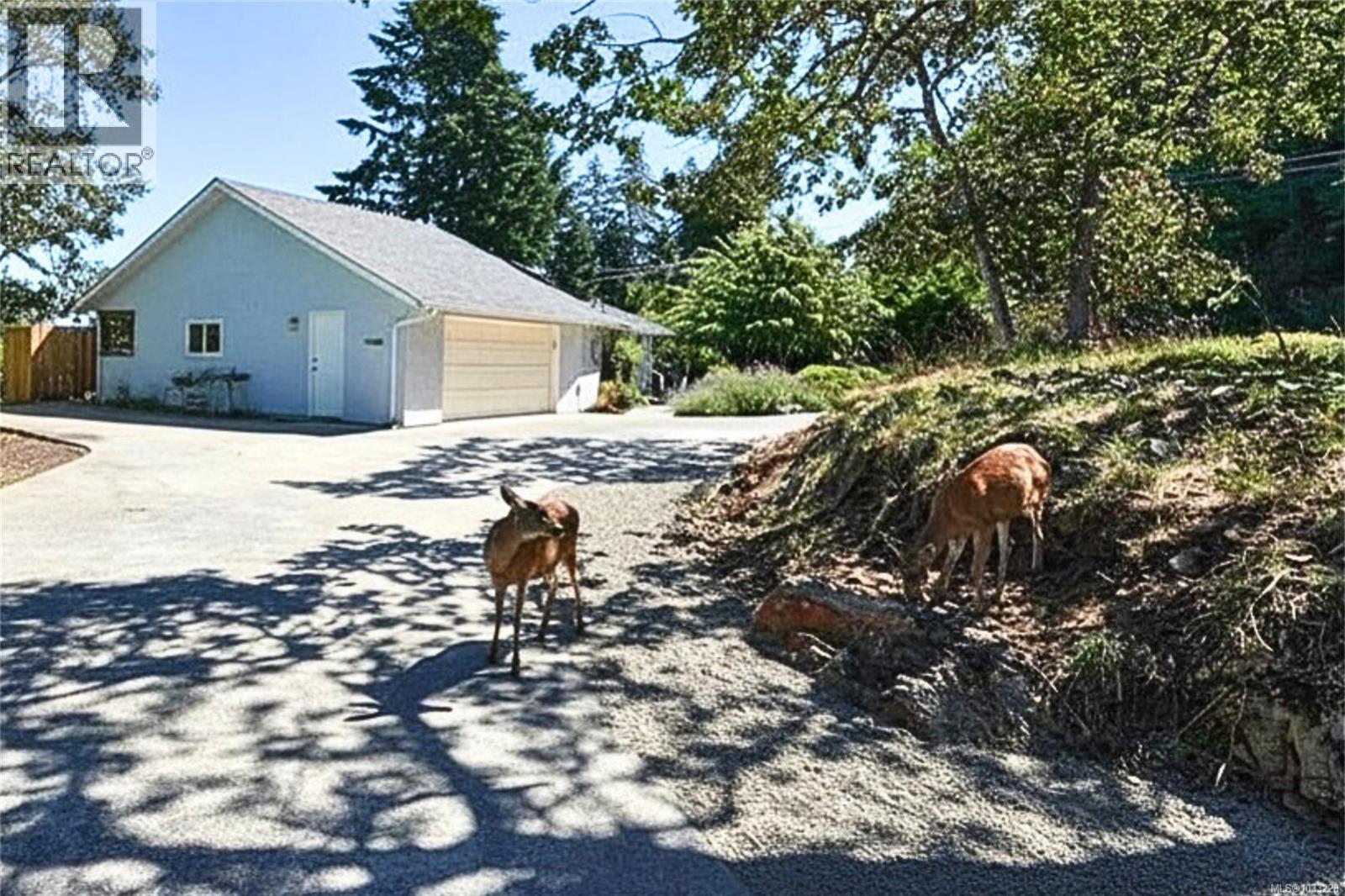 3271 Dolphin Dr - 14