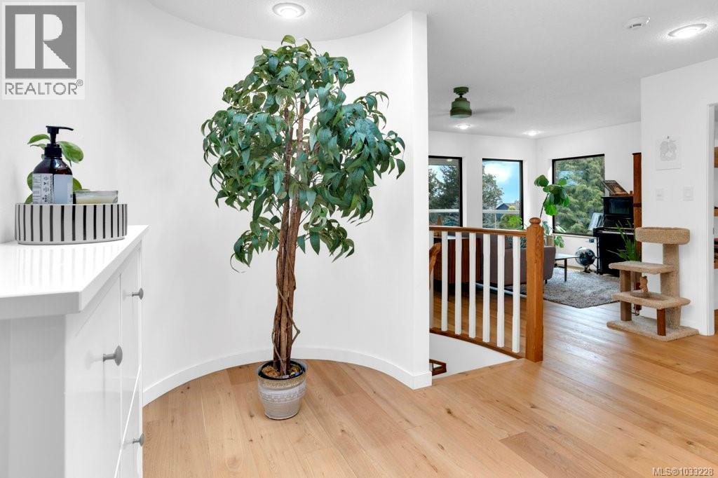 3271 Dolphin Dr - 19