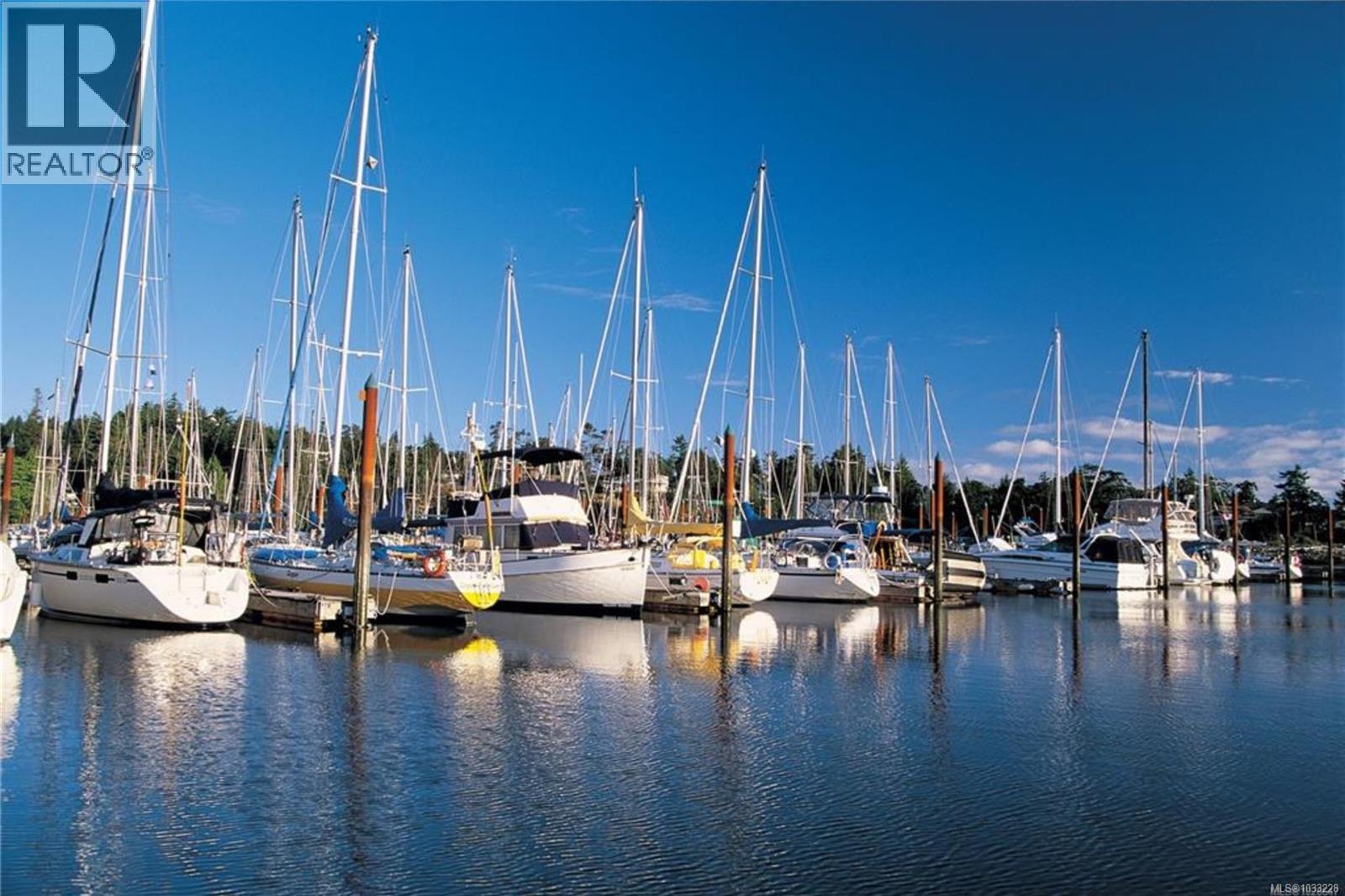 3271 Dolphin Dr - 41