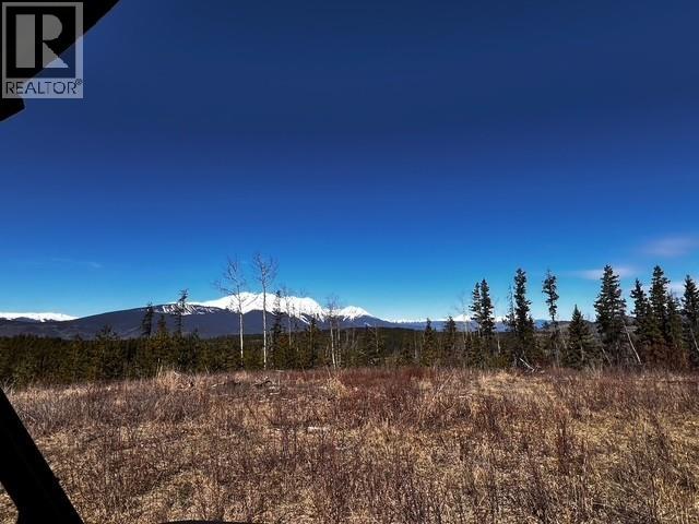 7386 TELKWA HIGH Road, Smithers