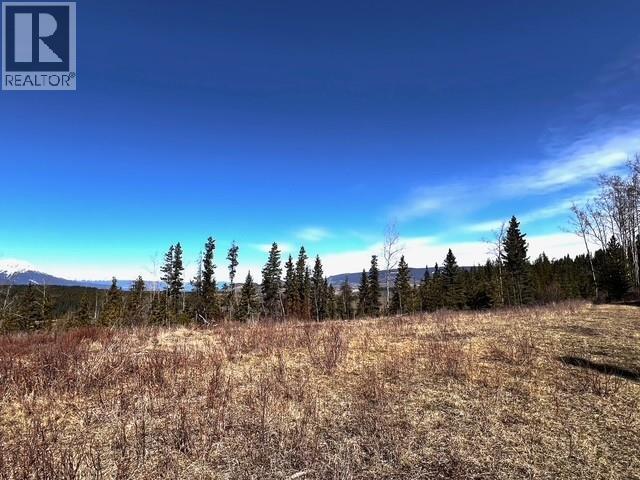 7386 TELKWA HIGH Road, Smithers