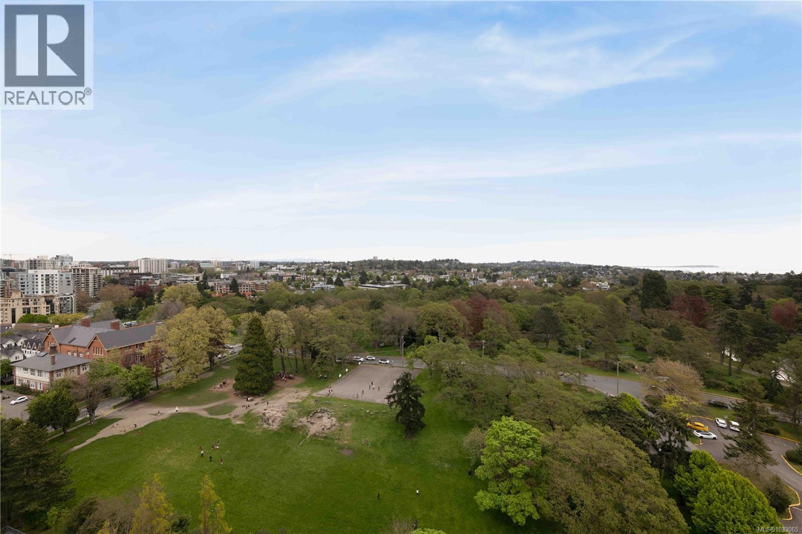 1906 620 Toronto Street, Victoria