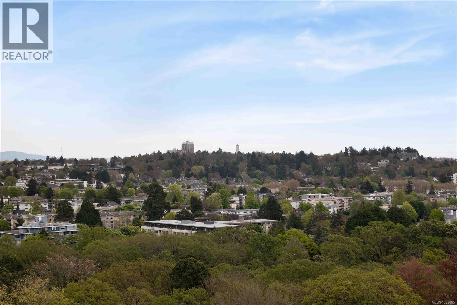 1906 620 Toronto Street, Victoria