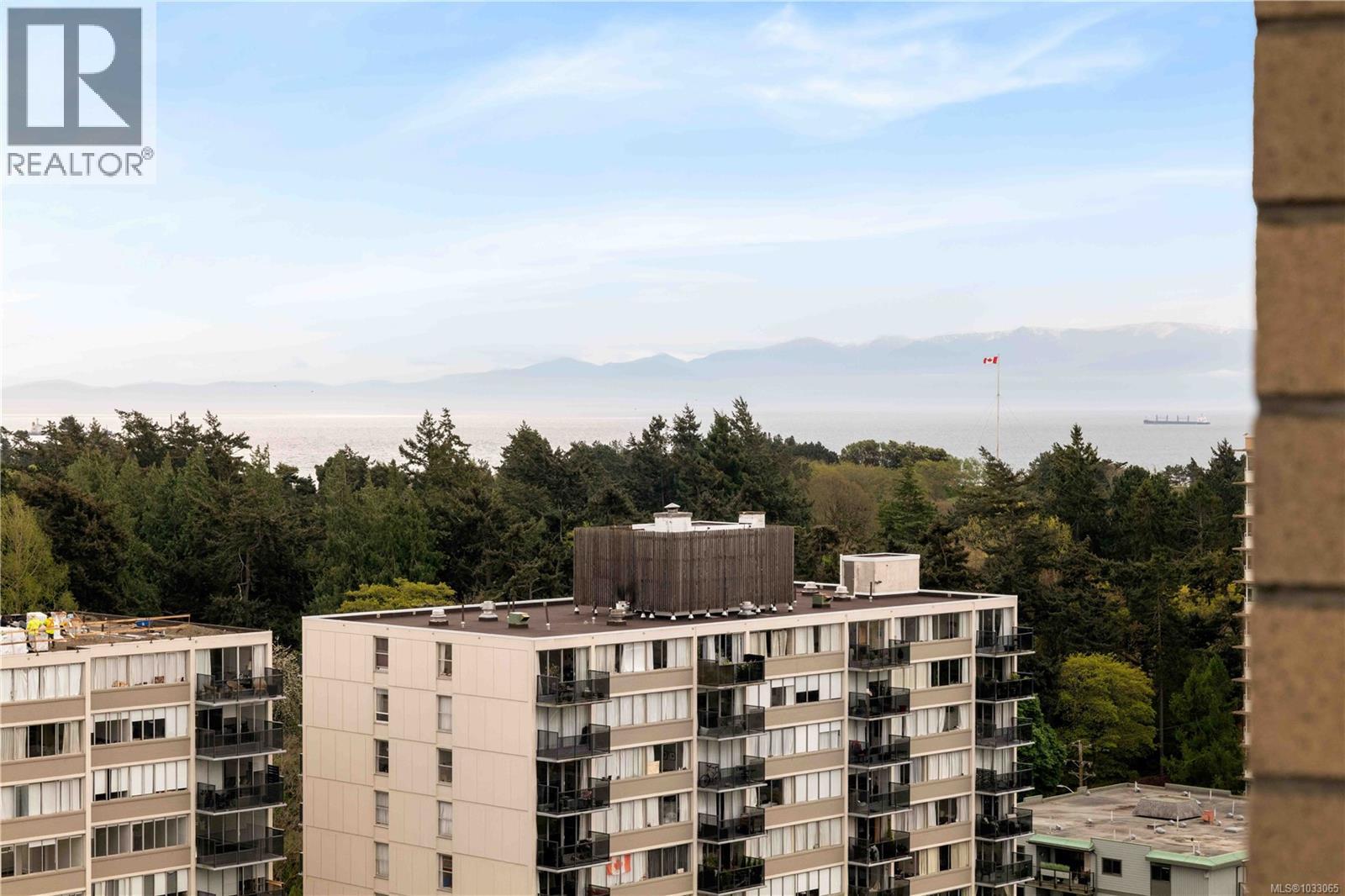 1906 620 Toronto Street, Victoria