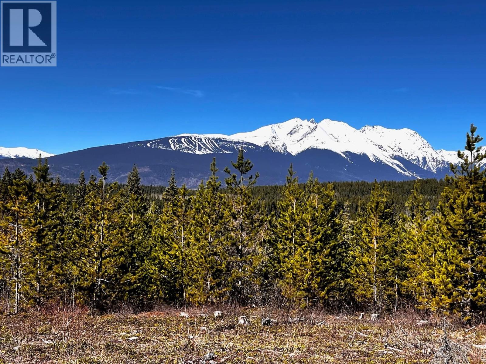 7386 TELKWA HIGH Road, Smithers