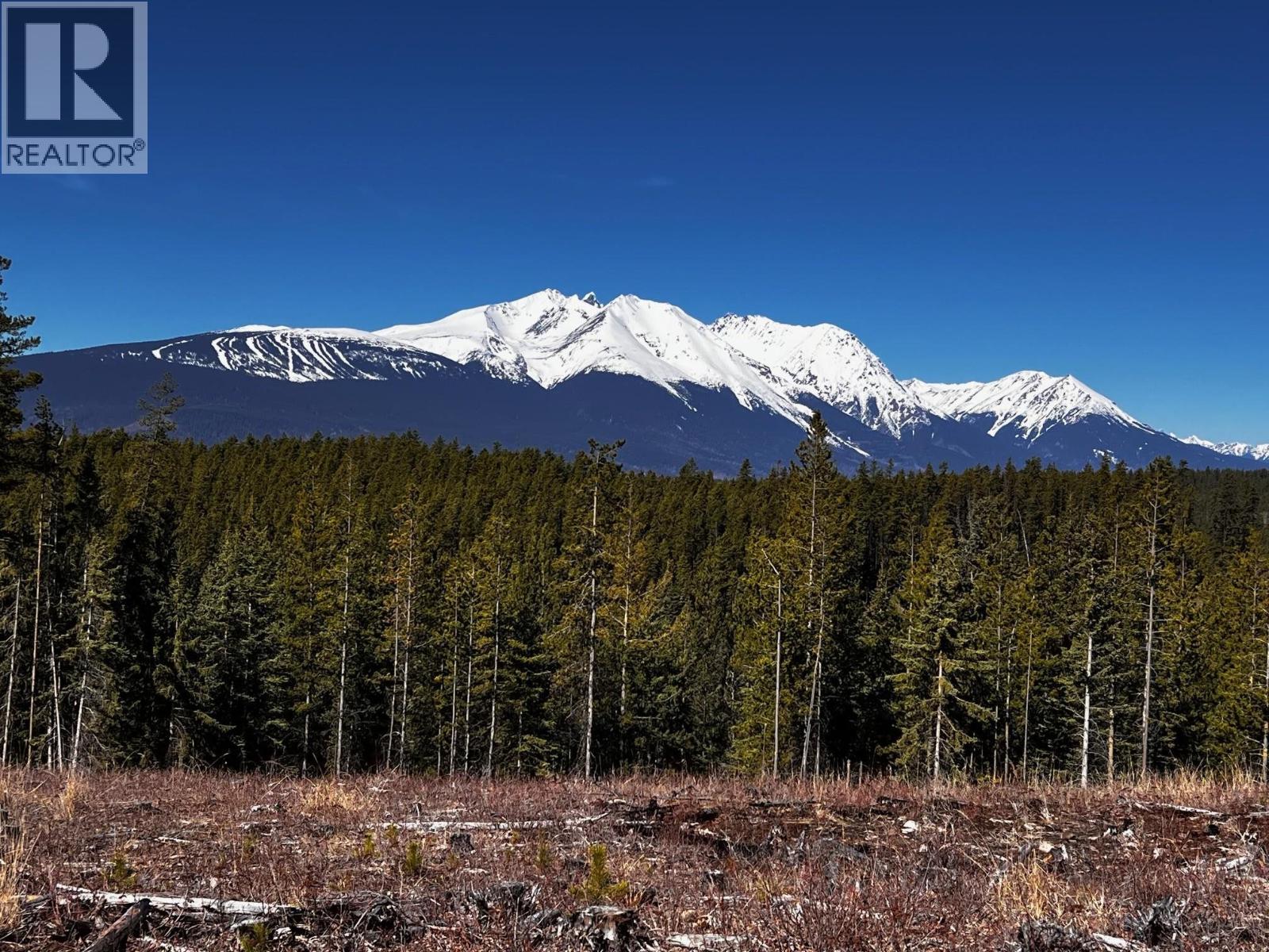 7386 TELKWA HIGH Road, Smithers