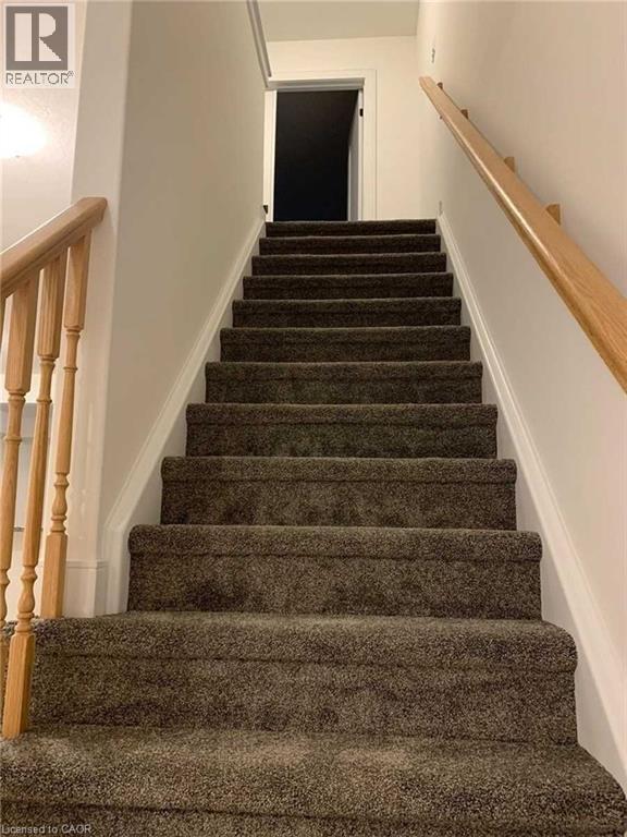 Carpeted staircase with white risers