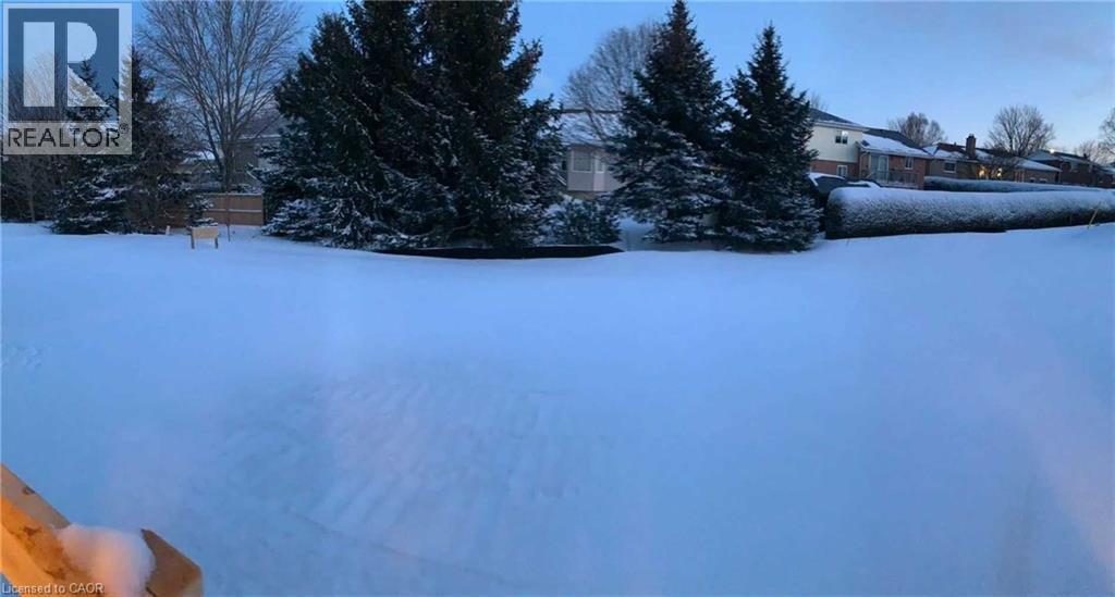Expansive rear yard featuring mature evergreen trees, a well-maintained hedge, and partial fencing