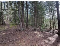 Fern Road Lot# 122, Appledale, BC V0G2J0 Photo 16