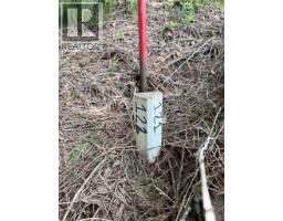 Fern Road Lot# 122, Appledale, BC V0G2J0 Photo 17