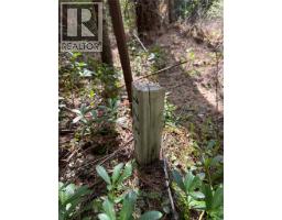 Fern Road Lot# 122, Appledale, BC V0G2J0 Photo 21