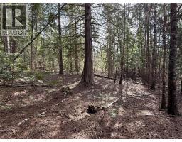 Fern Road Lot# 122, Appledale, BC V0G2J0 Photo 10